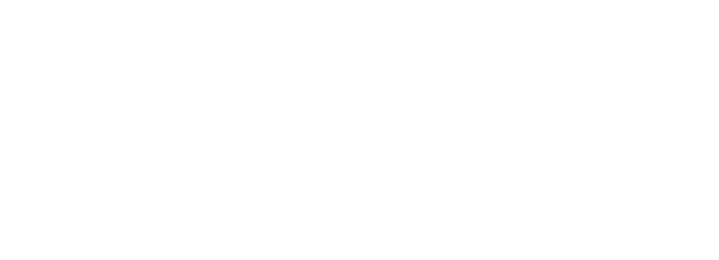 fynsa bw